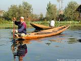 Srinagar-lago Dal7